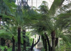 Kew Gardens – The Glasshouses