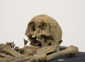 Crossrail puts a skeleton on public display
