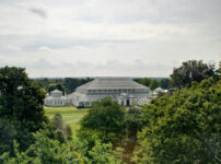Free entry to Kew Gardens over Christmas