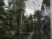 Last few weeks to visit the world’s largest surviving Victorian glasshouse
