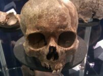 See the human skulls dug up by Crossrail