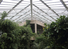 Visit the Barbican’s garden conservatory