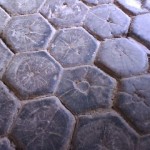hexagonal-paving
