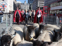 Sheep to be taken across London Bridge