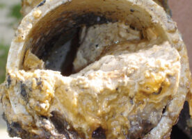 Prepare to be disgusted as the Whitechapel fatberg goes on display