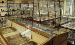 London’s Petrie Museum secures upgrade funding