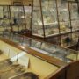 The Petrie Museum will close for the summer