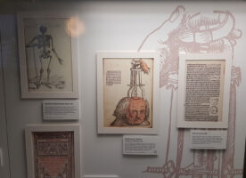Leonardo da Vinci defying death at UCL