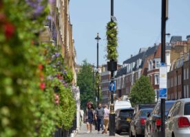 Street lamps are being covered in plants