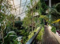 Barbican conservatory starts weekday openings