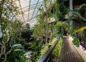 Barbican conservatory starts weekday openings