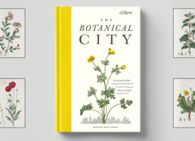The Botanical City – A guide to the plants in the city