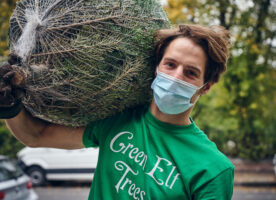Musicians are delivering Christmas trees across London