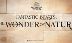 See “Fantastic Beasts” inside the Natural History Museum