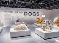 Architecture for Dogs – virtual tour