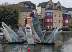 The Regent’s Canal sharks have moved to Islington