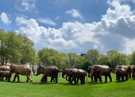 Life-size elephant sculptures in London