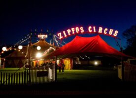 Zippos Circus is back in town