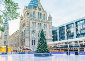 Last ever ice rink at the Natural History Museum this winter
