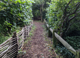 Camley Street’s natural park has reopened to the public