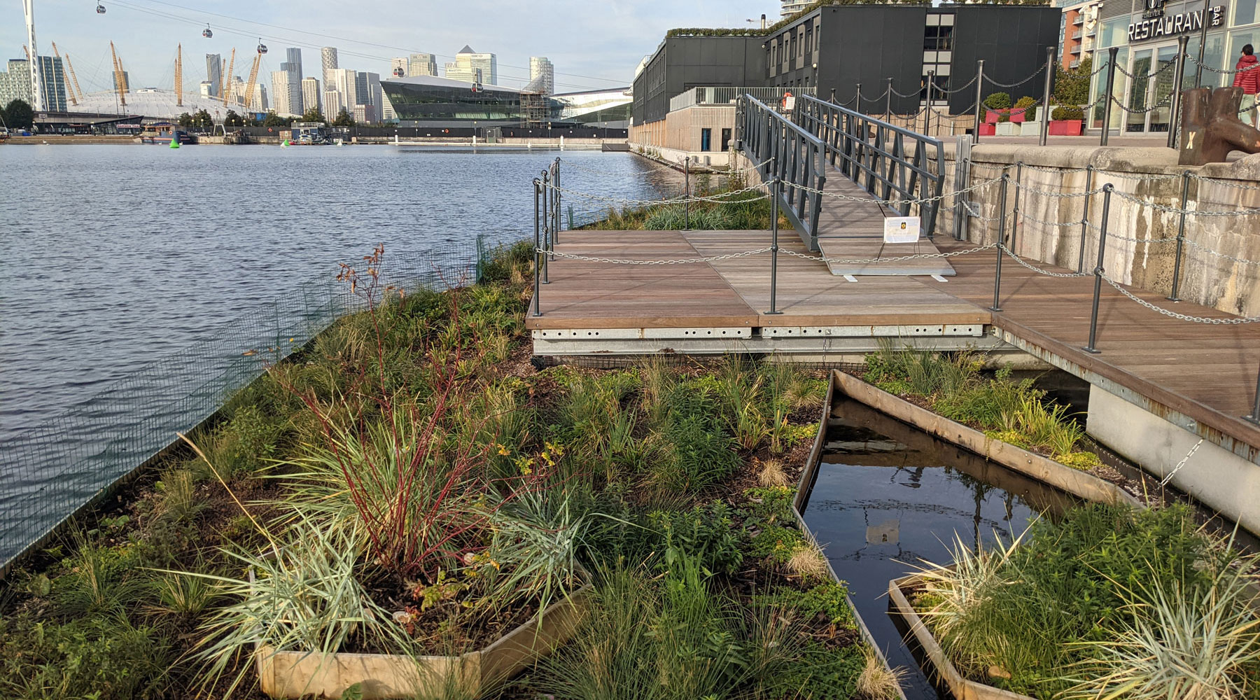 London's Pocket Parks: Royal Docks floating garden