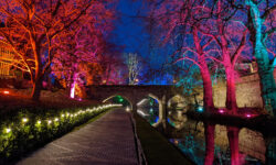 Eltham Palace fills its gardens with winter lights