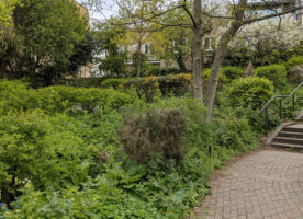 London’s Pocket Parks: Thornhill Bridge Community Gardens, N1