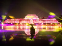 Kew Garden’s winter light show returns for its 10th anniversary