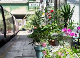 London’s railway stations going green with pocket gardens