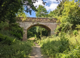 A summer ramble along the disused Bishop’s Stortford to Braintree railway line