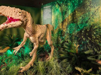 See LEGO dinosaurs at the Horniman Museum