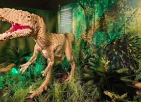 See LEGO dinosaurs at the Horniman Museum