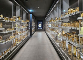 The Hunterian Museum is back and better than ever