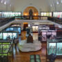 Horniman Museum to start having late openings