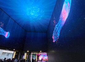 There’s a giant jellyfish floating around the Outernet