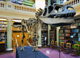 You can see a life-size Megalosaurus dinosaur in central London this month