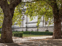 Tate Britain’s entrance set for nature’s revival with a new wildlife-filled garden