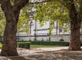 Tate Britain’s entrance set for nature’s revival with a new wildlife-filled garden