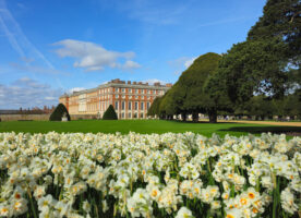 Hampton Court Palace gardens free open days