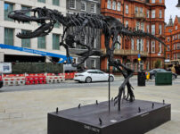 There’s a T-Rex dinosaur in Berkeley  Square at the moment