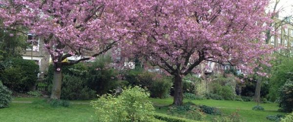 Visit a garden - Arundel & Elgin Gardens (Notting Hill)