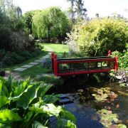 Visit a garden - 5 St Regis Close (Muswell Hill)