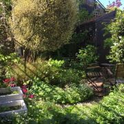 Visit a garden - Wades Grove (Enfield)