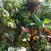 Visit a garden - Lauradale Road (Muswell Hill)