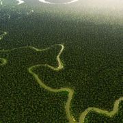  Protecting Rainforests - The Planet’s Great Protector