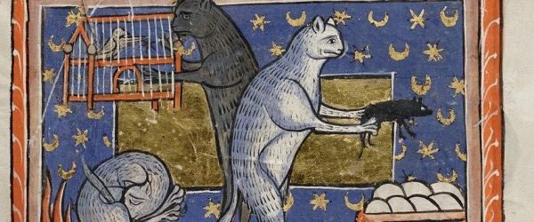 Medieval Pets  - An Online Talk by Dr Kathleen Walker-Meikle