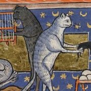 Medieval Pets  - An Online Talk by Dr Kathleen Walker-Meikle