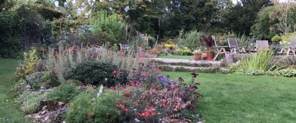 Visit a garden - Hornbeams