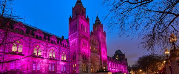 Valentines at the Natural History Museum