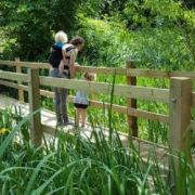 Monthly open day at Dacres Wood Nature Reserve
